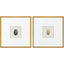 Paragon Beetles S/2 Green 17 X 17 X 1 Wall Art