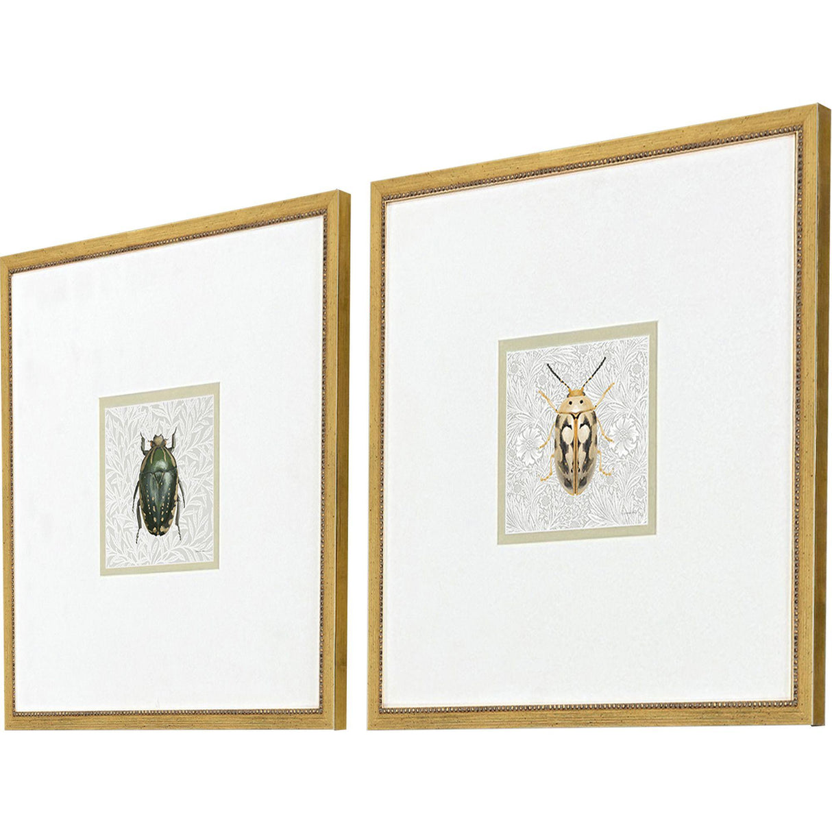 Paragon Beetles S/2 Green 17 X 17 X 1 Wall Art
