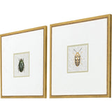 Paragon Beetles S/2 Green 17 X 17 X 1 Wall Art