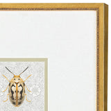 Paragon Beetles S/2 Green 17 X 17 X 1 Wall Art