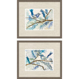 Paragon Here Birdie Birdie S/2 Blue 17 X 20 X 2 Wall Art