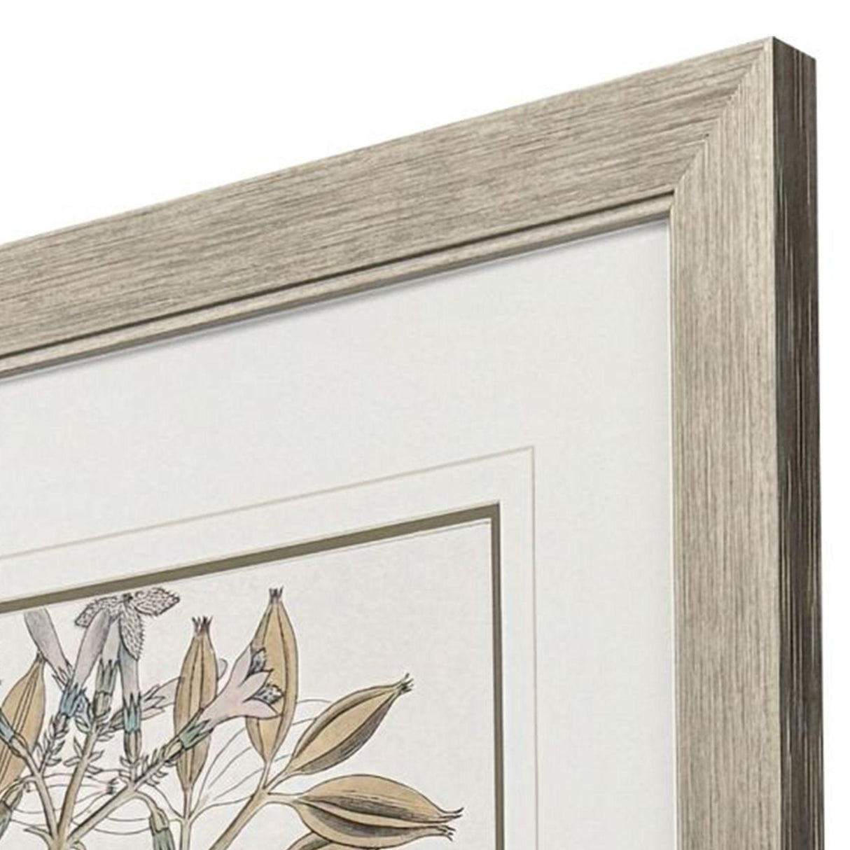 Paragon Flowering Botanical I Green 46 X 34 X 2 Wall Art