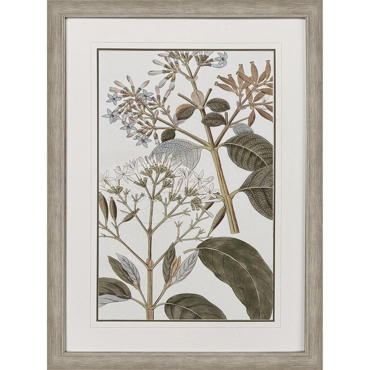 Paragon Flowering Botanical II Green 46 X 34 X 2 Wall Art