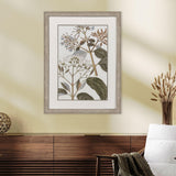 Paragon Flowering Botanical II Green 46 X 34 X 2 Wall Art