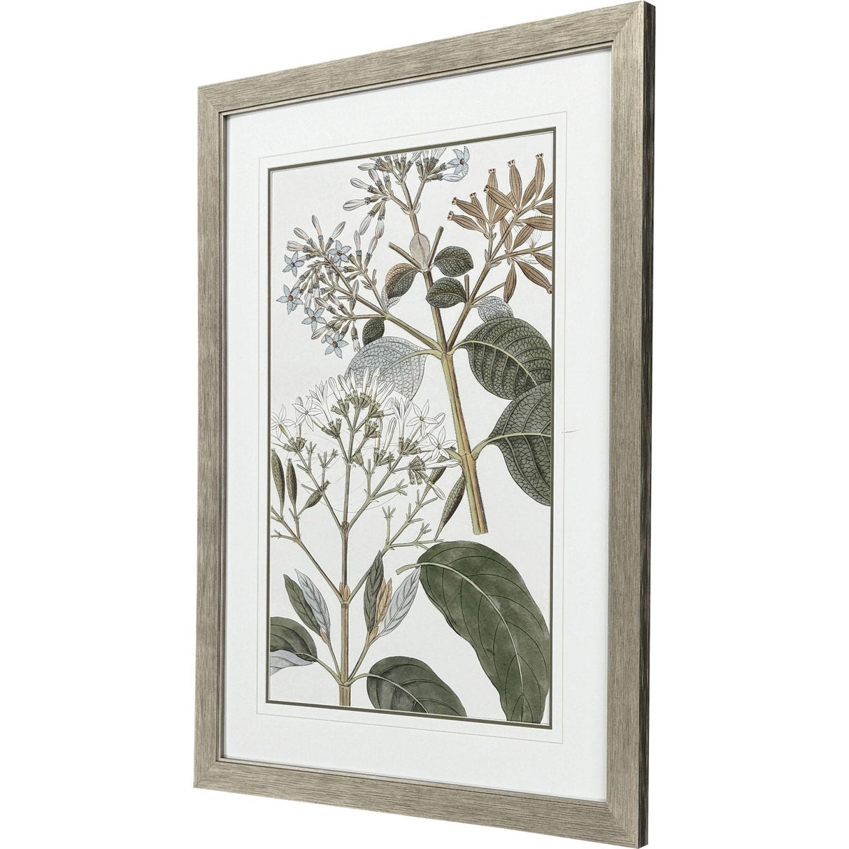 Paragon Flowering Botanical II Green 46 X 34 X 2 Wall Art