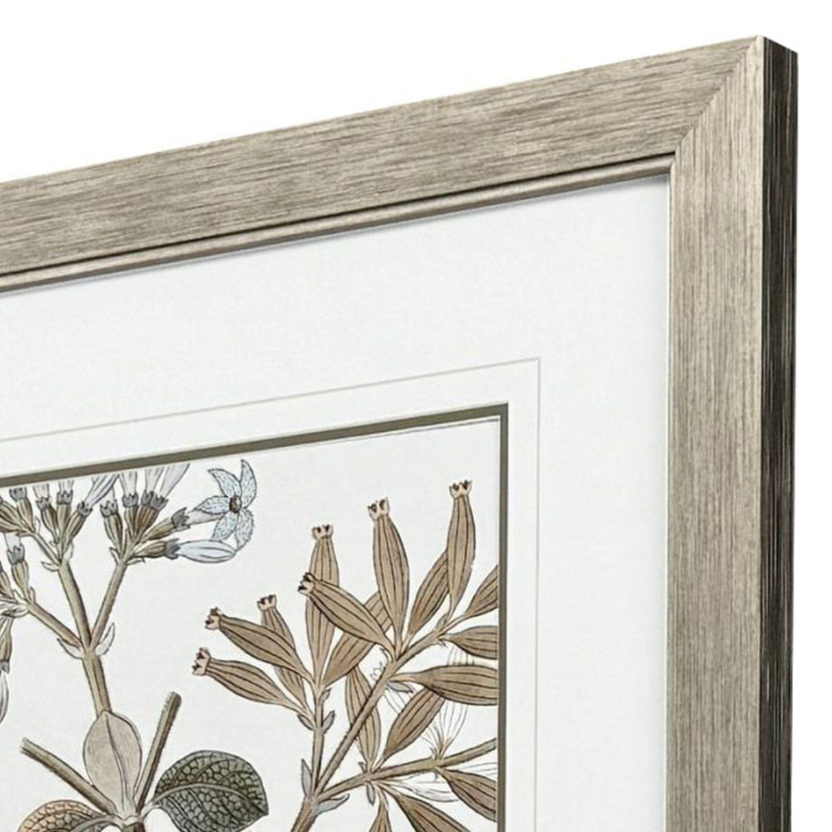 Paragon Flowering Botanical II Green 46 X 34 X 2 Wall Art