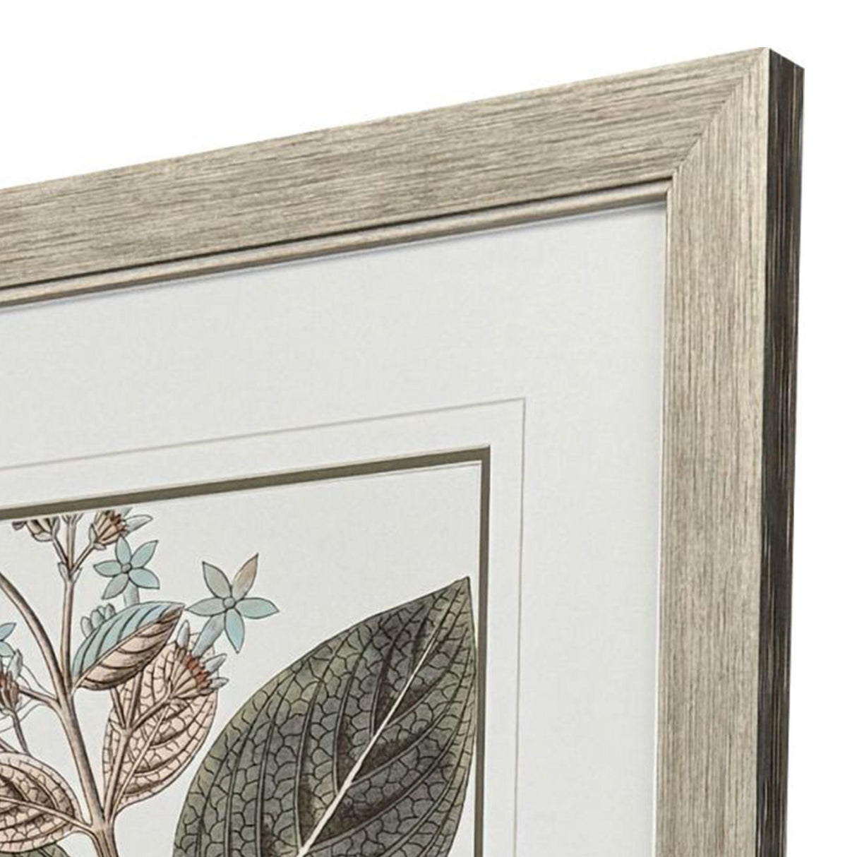 Paragon Flowering Botanical III Green 46 X 34 X 2 Wall Art