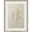 Paragon Whispering Grasses II Beige 36 X 27 X 2 Wall Art