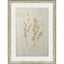Paragon Whispering Grasses II Beige 36 X 27 X 2 Wall Art