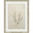 Paragon Whispering Grasses III Beige 36 X 27 X 2 Wall Art