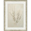 Paragon Whispering Grasses III Beige 36 X 27 X 2 Wall Art
