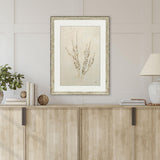 Paragon Whispering Grasses III Beige 36 X 27 X 2 Wall Art