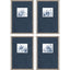 Paragon Lilies S/4 Blue 19 X 13 X 1 Wall Art