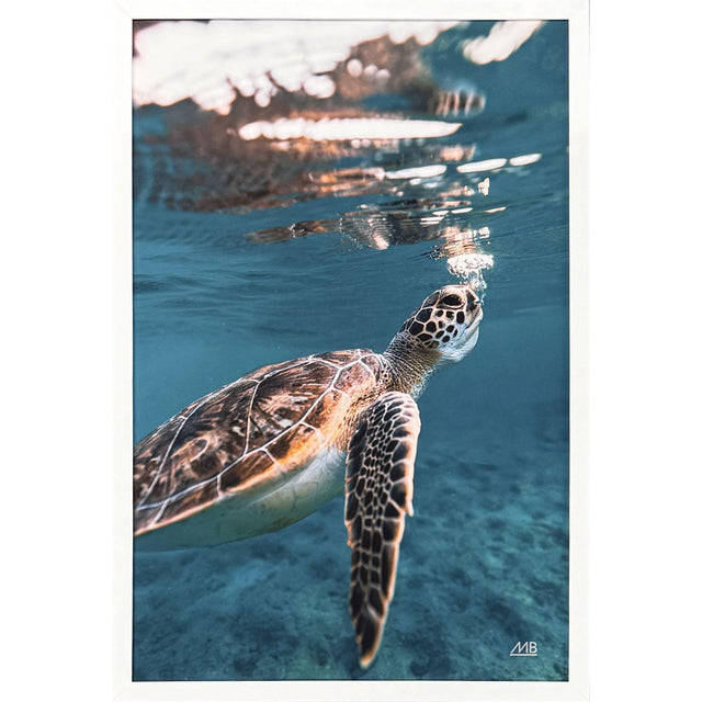 Paragon Blowing Bubbles Blue 42 X 29 X 3 Wall Art