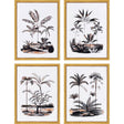 Paragon Exotic Terrain S/4 Black 17 X 13 X 1 Wall Art