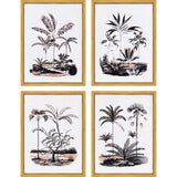 Paragon Exotic Terrain S/4 Black 17 X 13 X 1 Wall Art
