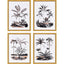 Paragon Exotic Terrain S/4 Black 17 X 13 X 1 Wall Art