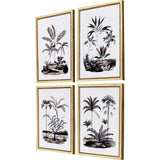 Paragon Exotic Terrain S/4 Black 17 X 13 X 1 Wall Art