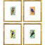 Paragon Sassy Birds S/4 Blue 13 X 11 X 2 Wall Art