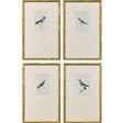 Paragon Antique Hummingbirds S/4 Green 19 X 12 X 2 Wall Art