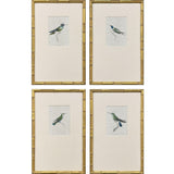Paragon Antique Hummingbirds S/4 Green 19 X 12 X 2 Wall Art