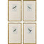 Paragon Antique Hummingbirds S/4 Green 19 X 12 X 2 Wall Art