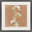 Paragon Wildflowers I White 35 X 35 X 2 Wall Art