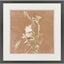 Paragon Wildflowers III White 35 X 35 X 2 Wall Art