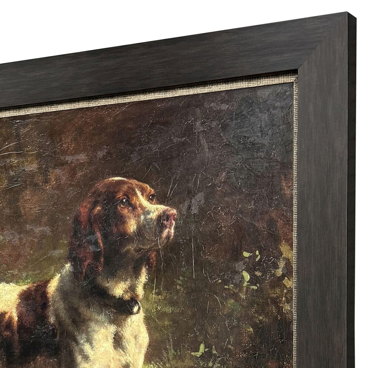 Paragon Limier Briquet Hound Brown 38 X 46 X 2 Wall Art