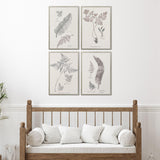 Paragon Fern Study S/4 Gray 25 X 17 X 2 Wall Art
