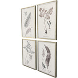 Paragon Fern Study S/4 Gray 25 X 17 X 2 Wall Art