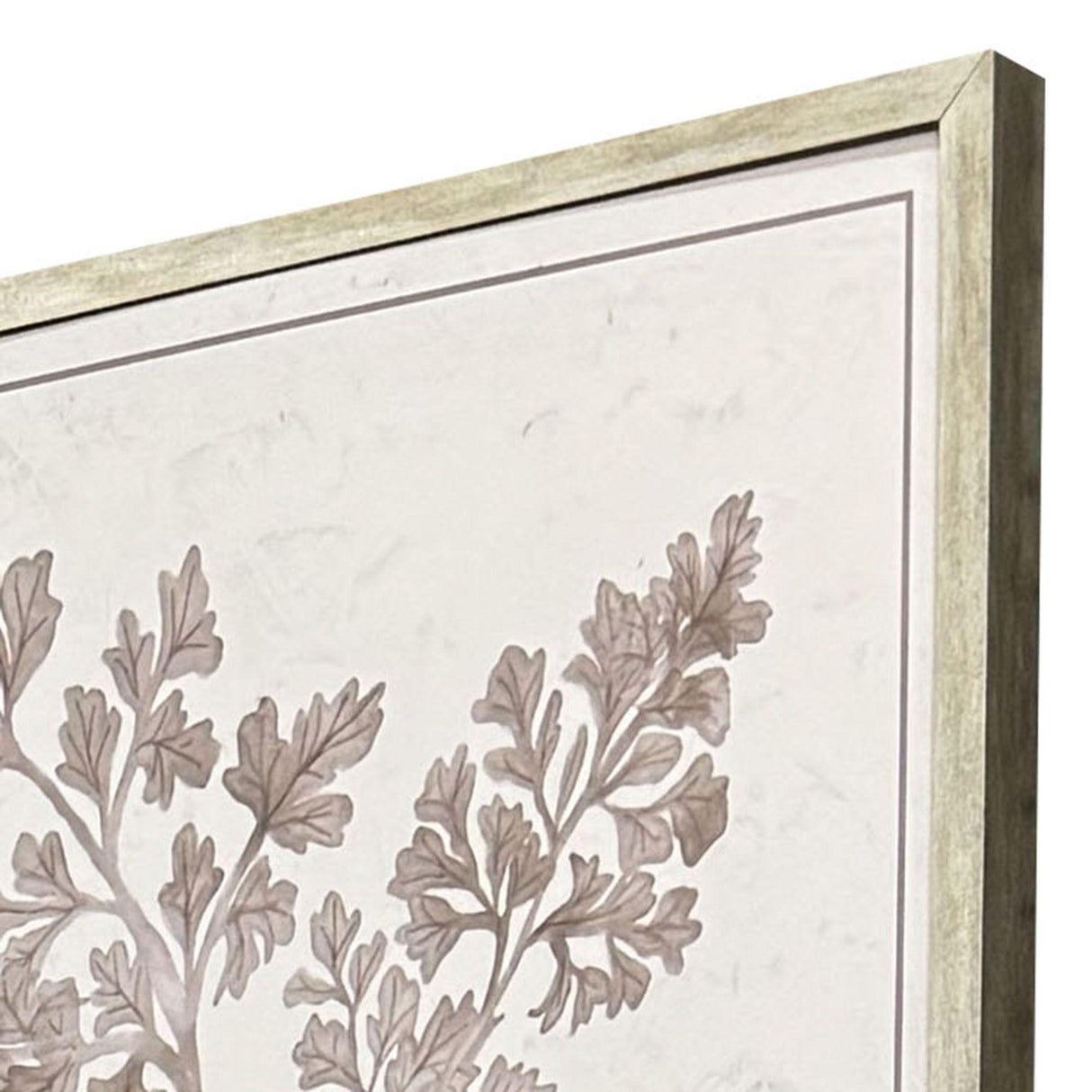 Paragon Fern Study S/4 Gray 25 X 17 X 2 Wall Art