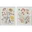 Paragon Full Bloom II S/2 Rust 29 X 23 X 2 Wall Art