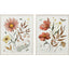 Paragon Full Bloom I S/2 Rust 29 X 23 X 2 Wall Art