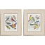 Paragon Bird Variety S/2 Blue 23 X 19 X 2 Wall Art