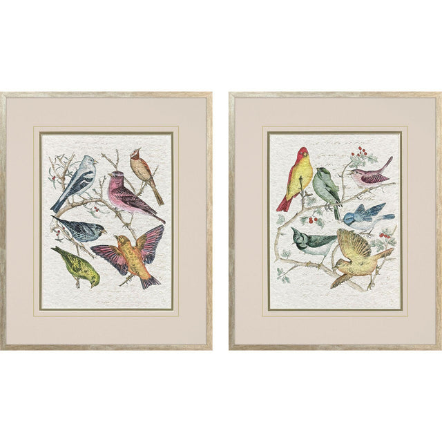 Paragon Bird Variety S/2 Blue 23 X 19 X 2 Wall Art