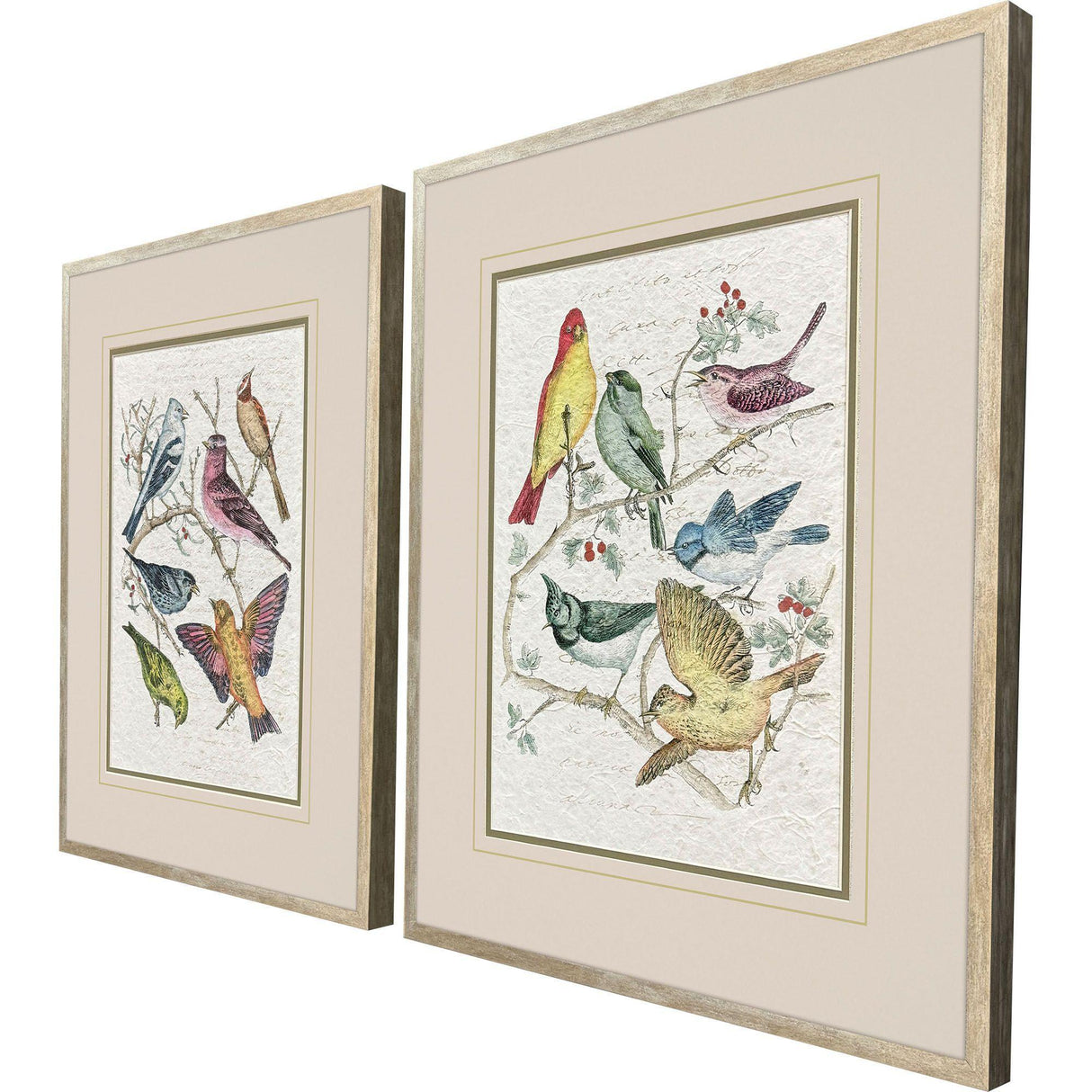 Paragon Bird Variety S/2 Blue 23 X 19 X 2 Wall Art