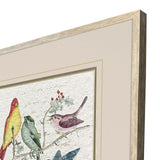 Paragon Bird Variety S/2 Blue 23 X 19 X 2 Wall Art
