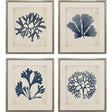 Paragon Indigo Sea Life S/4 Blue 19 X 17 X 2 Wall Art