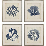 Paragon Indigo Sea Life S/4 Blue 19 X 17 X 2 Wall Art