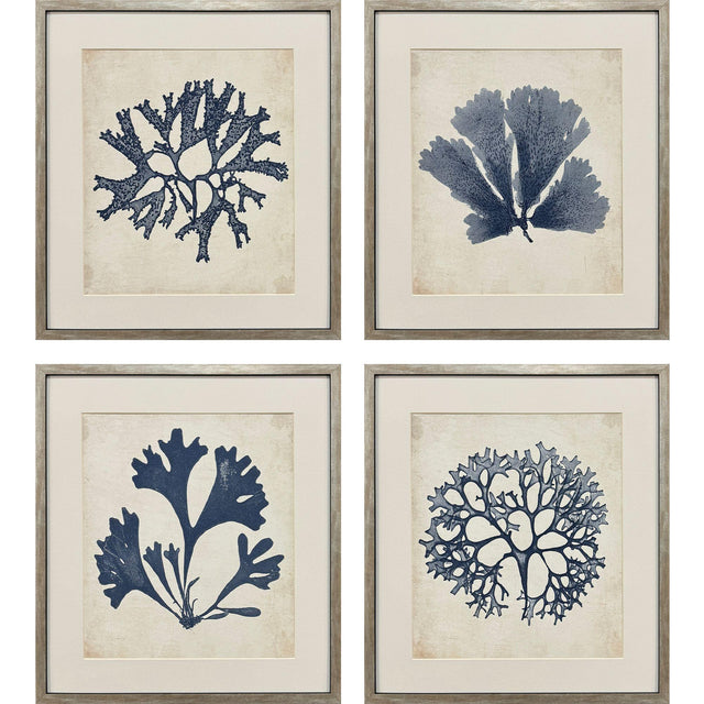 Paragon Indigo Sea Life S/4 Blue 19 X 17 X 2 Wall Art