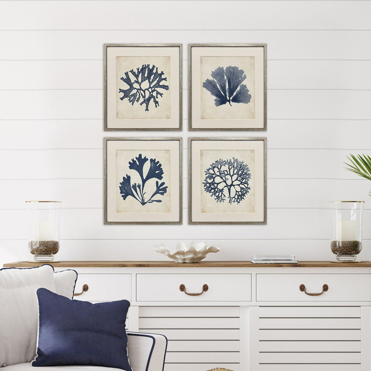 Paragon Indigo Sea Life S/4 Blue 19 X 17 X 2 Wall Art