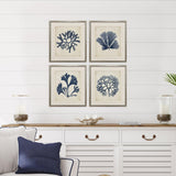 Paragon Indigo Sea Life S/4 Blue 19 X 17 X 2 Wall Art