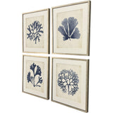 Paragon Indigo Sea Life S/4 Blue 19 X 17 X 2 Wall Art
