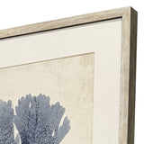 Paragon Indigo Sea Life S/4 Blue 19 X 17 X 2 Wall Art