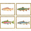 Paragon Colorful Trout S/4 Green 17 X 21 X 2 Wall Art