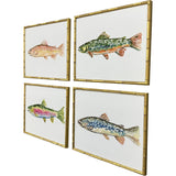 Paragon Colorful Trout S/4 Green 17 X 21 X 2 Wall Art