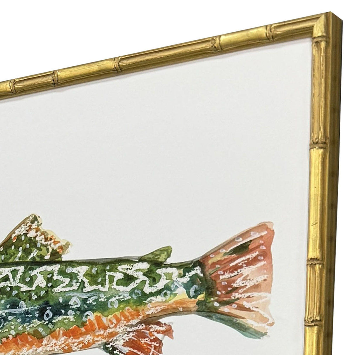Paragon Colorful Trout S/4 Green 17 X 21 X 2 Wall Art