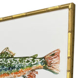 Paragon Colorful Trout S/4 Green 17 X 21 X 2 Wall Art