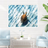 Paragon Sandbar Sea Turtle Blue 38 X 50 X 3 Wall Art